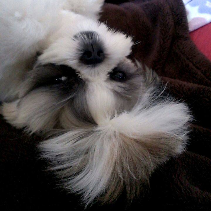 24bf856c 4716 438f 8d94 b199ccfb81e9