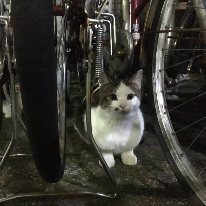 24bffcb5 d97f 4afd 9134 f4db570b8c5f