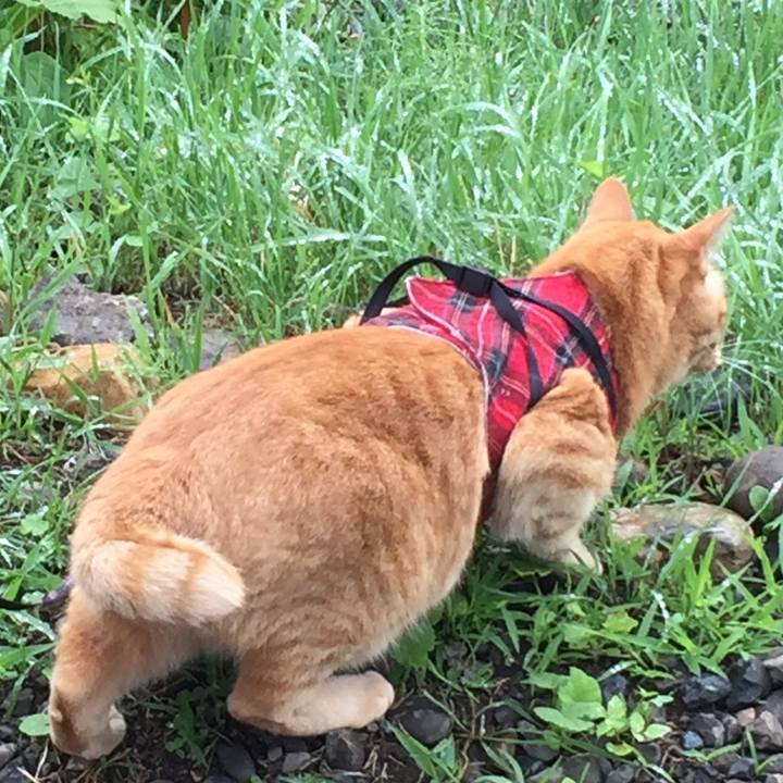 24c0b9cd 5c70 47a7 9f00 a97e0b186589