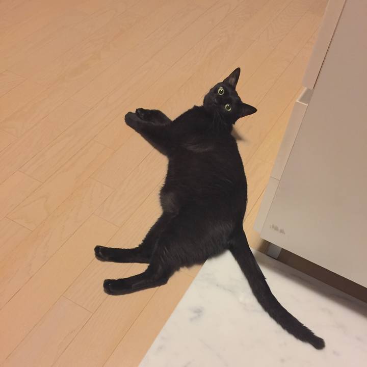 24c0ccbb 3df0 460c b45b 6d4f9d66d8c6