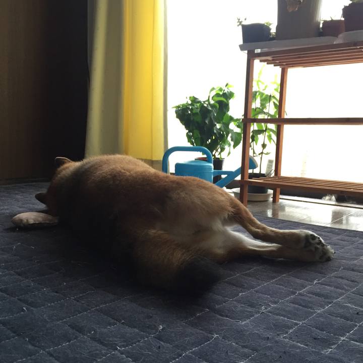 24c0e2fa 30e7 47ce a04a 5b628217d1a8