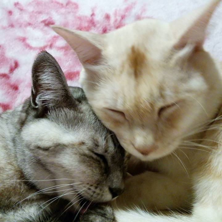 24c21fbf fac8 471a b622 9c84c3fe548d