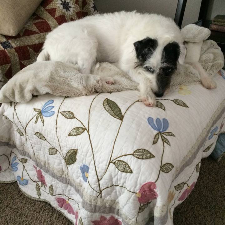 24c29caf 4d42 41b3 a84a c20041566f1e