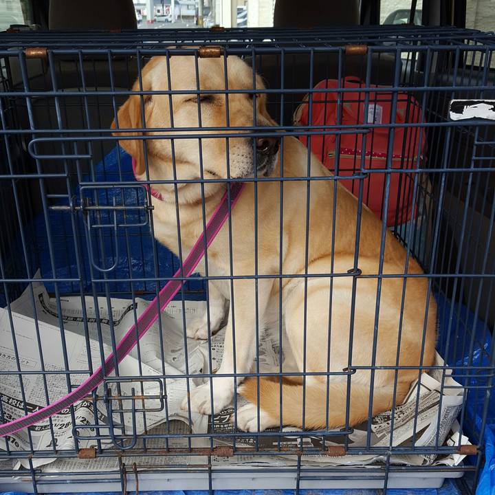 24c2d295 47e9 48cc 919e 98efbf803a01