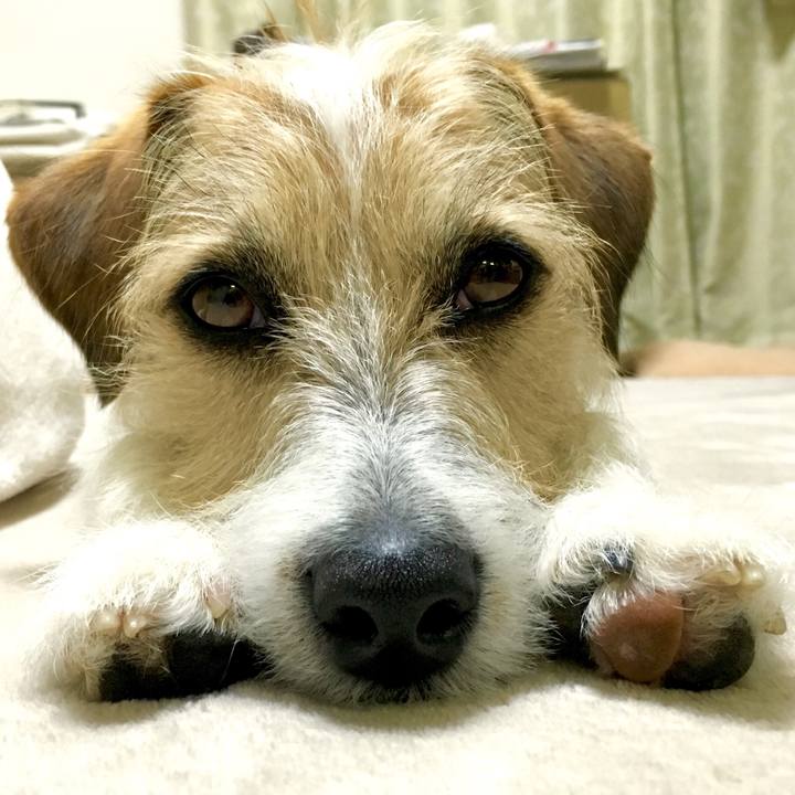 24c33440 2832 4add b2d7 52e42696d43e