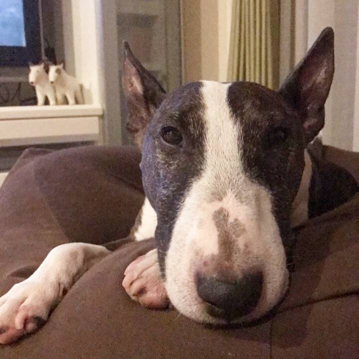 24c3bd9e a1a3 410c 8810 fcc111b12205