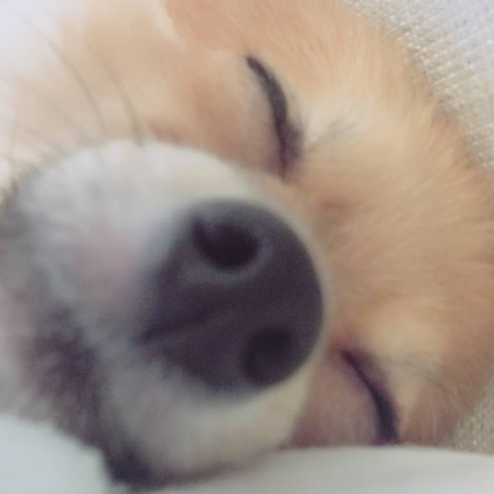 24c46913 90c3 46bf 80b7 52c2358b1fdc