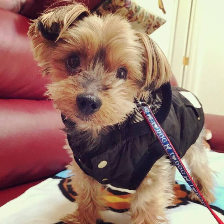 24c47239 6683 4687 a844 5be6cf1d33c6