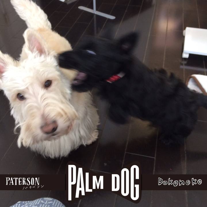 24c4b964 d897 4ce7 b425 f935caac5f7c