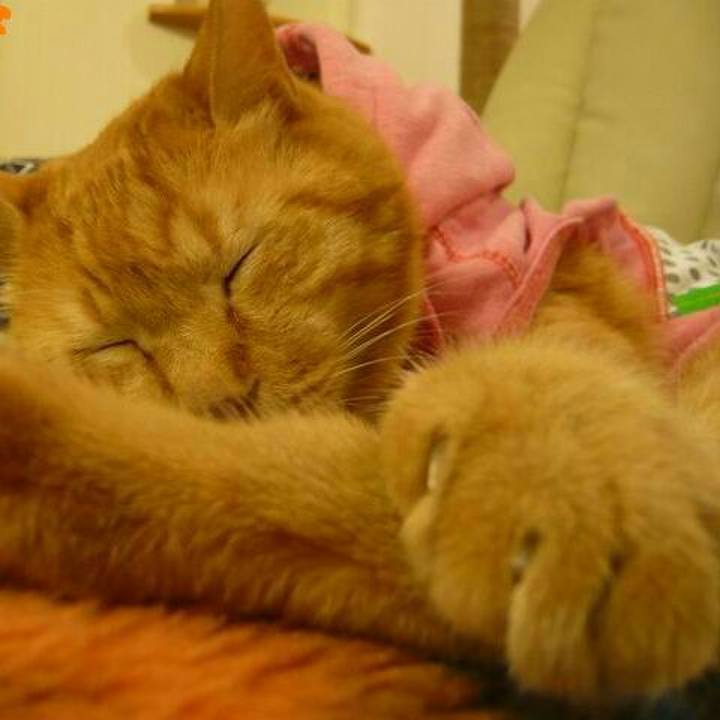 24c58e40 a7f4 4264 95dc 15b355455815