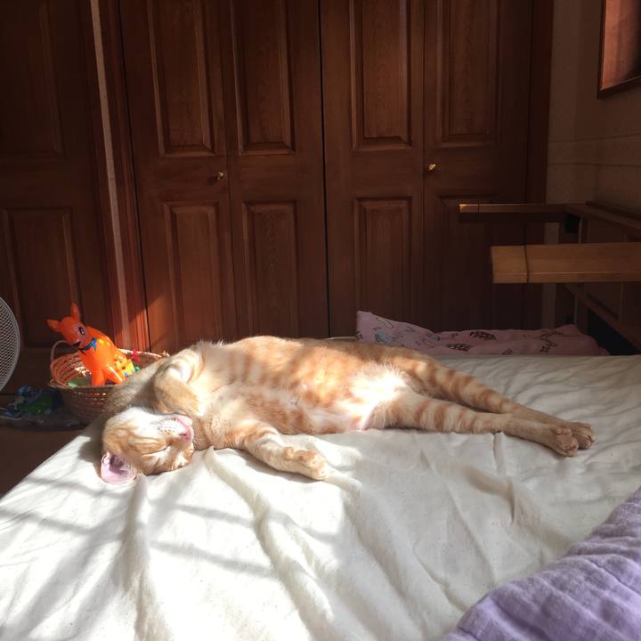 24c5d2bf c3c7 40fa 9547 7c3c11cbf3c5