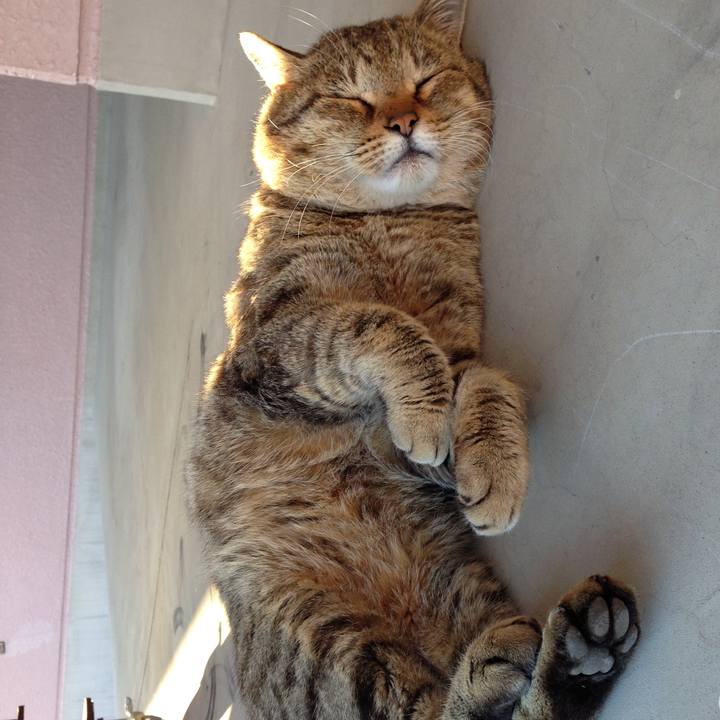 24c5def2 db24 47c7 8aba bda492ecd85f