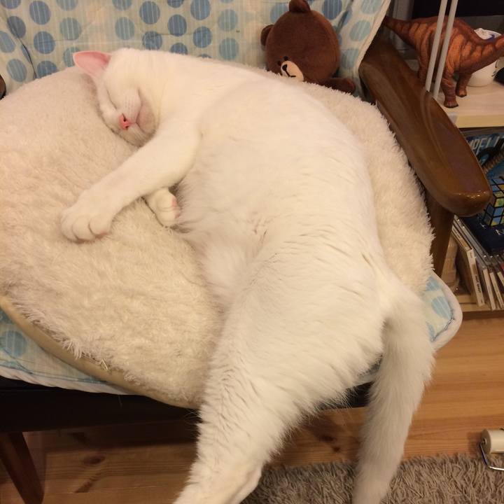 24c5eaa9 862d 40df ad35 e03f8d877057