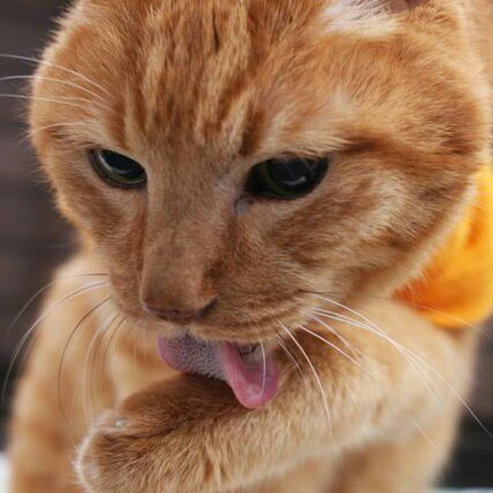 24c6bb6b eb20 480e 8deb b8736b9cda62