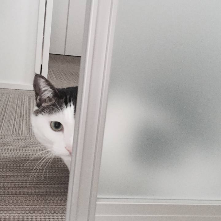 24c703ff 264e 4a92 bda0 292e91f4b459