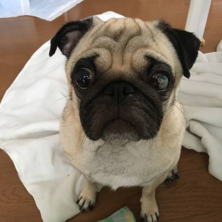 24c788ee f71b 430a 8fba fe17ca3a5ebf