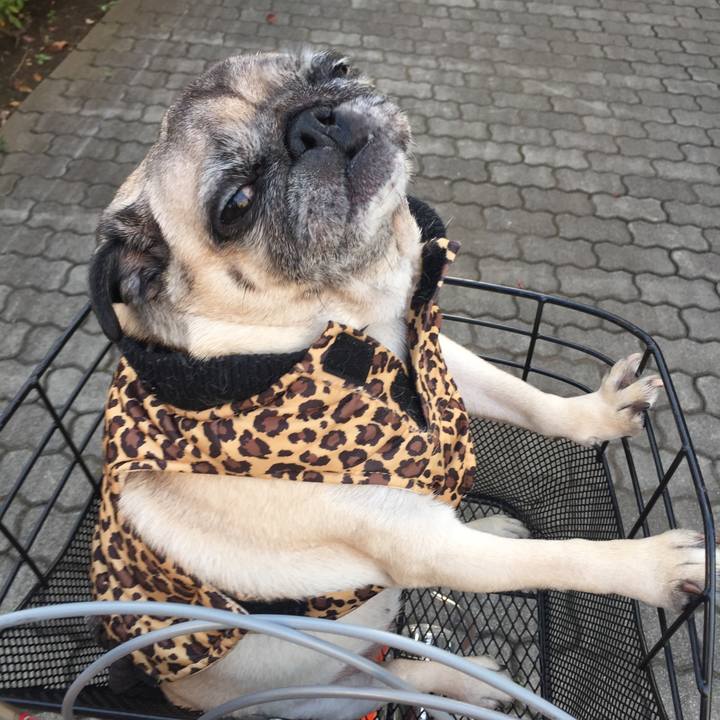 24c78c0d bad9 4252 8ad6 3d7ac0241dc5