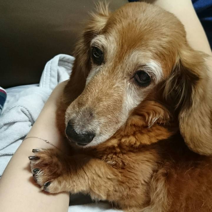 24c7a168 0b01 4ab2 8295 7fabbe5a02a3