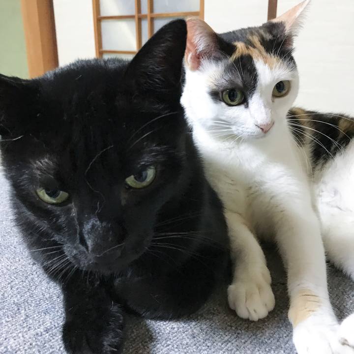 24c911ad f89f 4dc4 a9ce eeb88342eca9