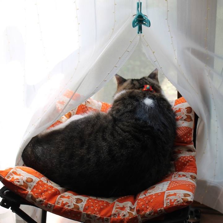 24c99a49 3c7f 4906 9078 90597971f11e