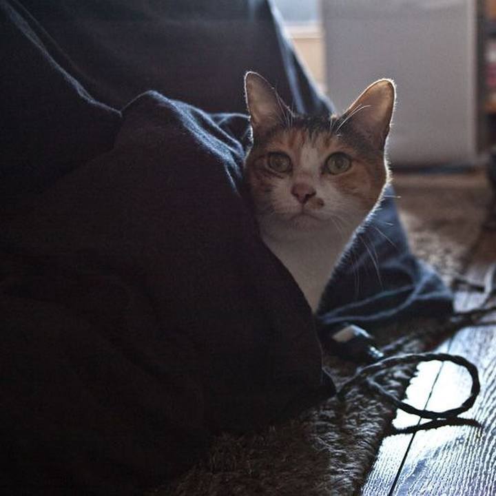 24c9f9b4 aec8 47f7 a17e f30ba2f066fb