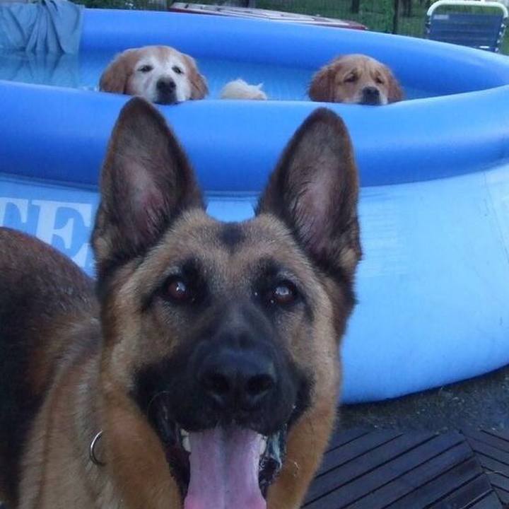 24c9fe45 e1aa 42f2 a5e8 1011822b2afe