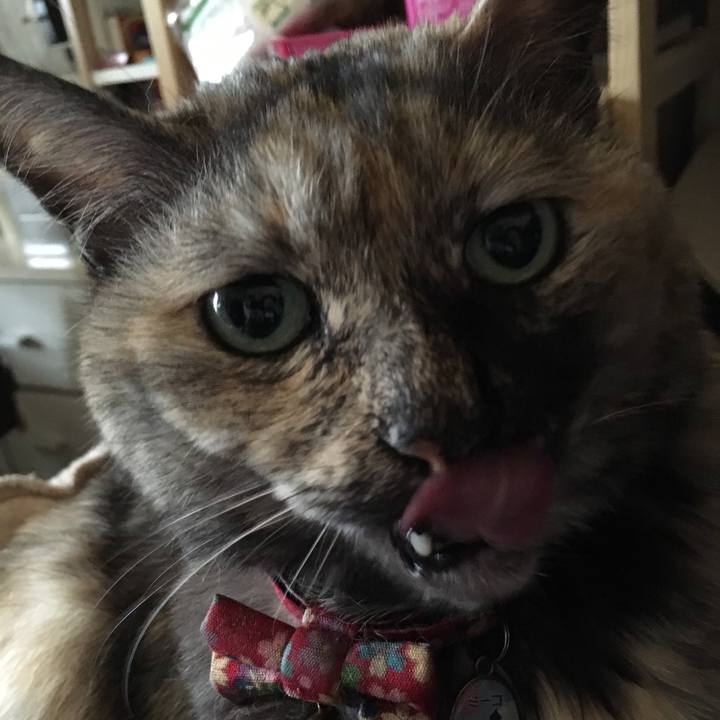 24ca2dda 21a8 45dd a005 2025143a9e76