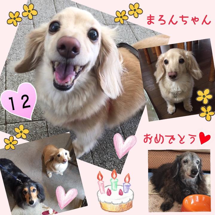 24ca8387 d337 4c7e 9277 600bad905df6