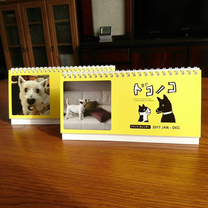 24cb81da e335 45fe 9cb5 435f4c513b93