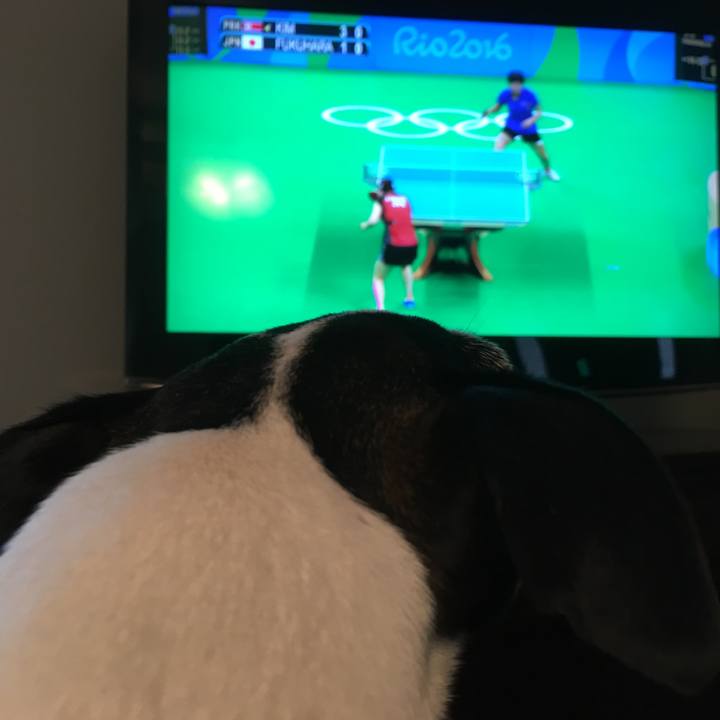 24cbe012 44a4 44e6 a37d da860c472951