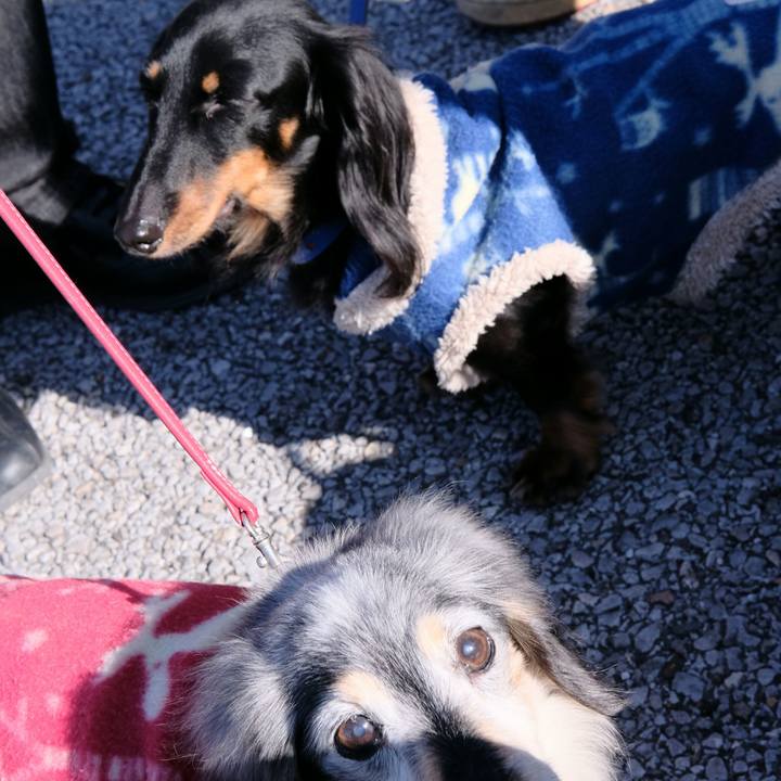 24cc0a1d 4937 4950 9f8f f9a1bc0fdfd6