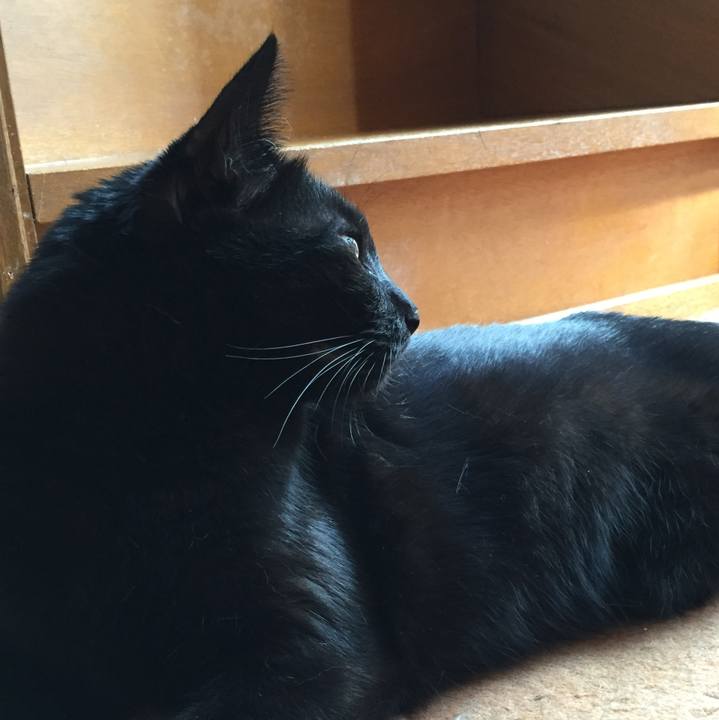 24cc2df1 e2b7 40c8 b31a 057eea83cfb2