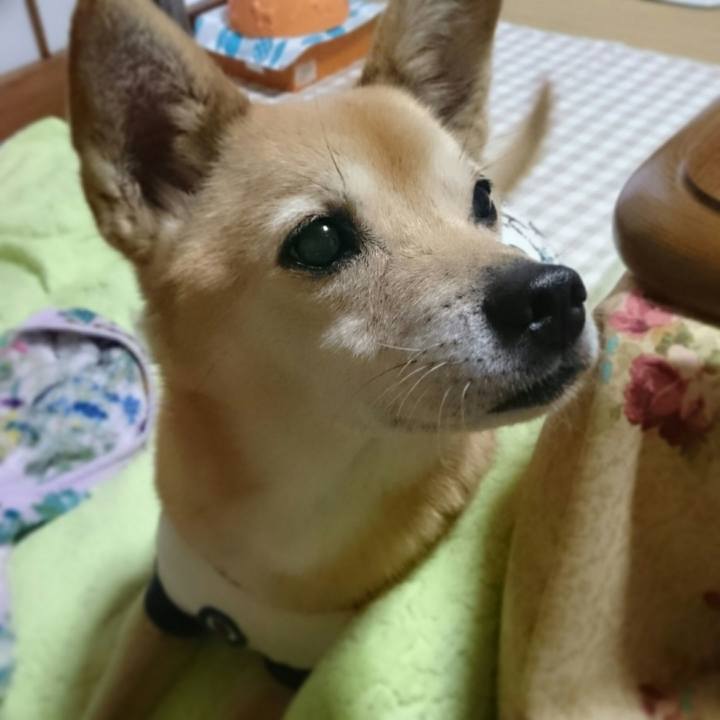 24cc3457 3fe5 4afd 916d 969619b6ee69