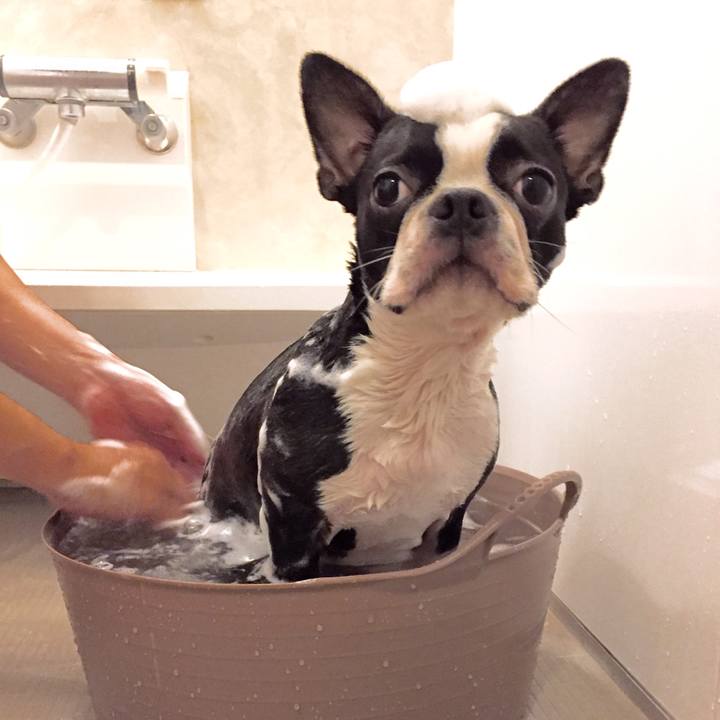 24cc53a2 7700 443f ae45 dabcddbb18a8