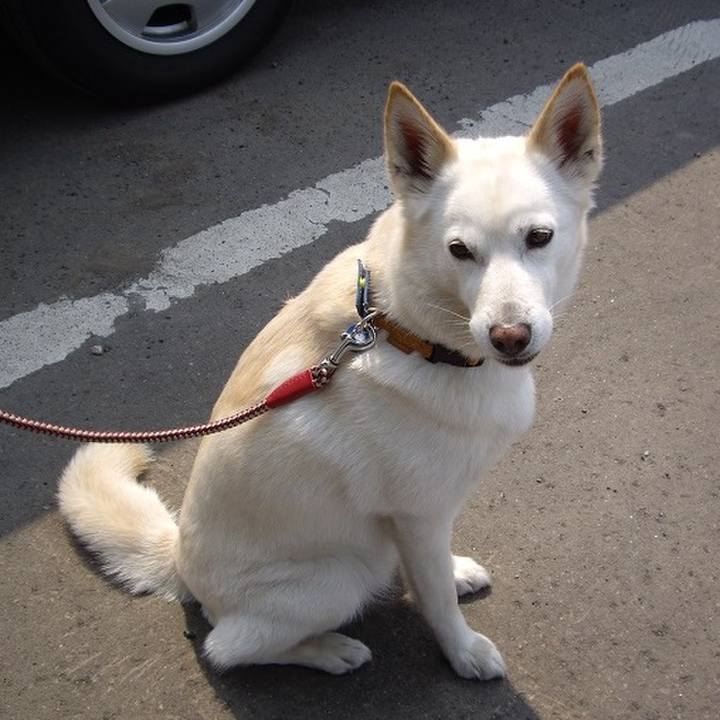 24cc5964 783b 4eb1 8088 bfcf8a604a1b