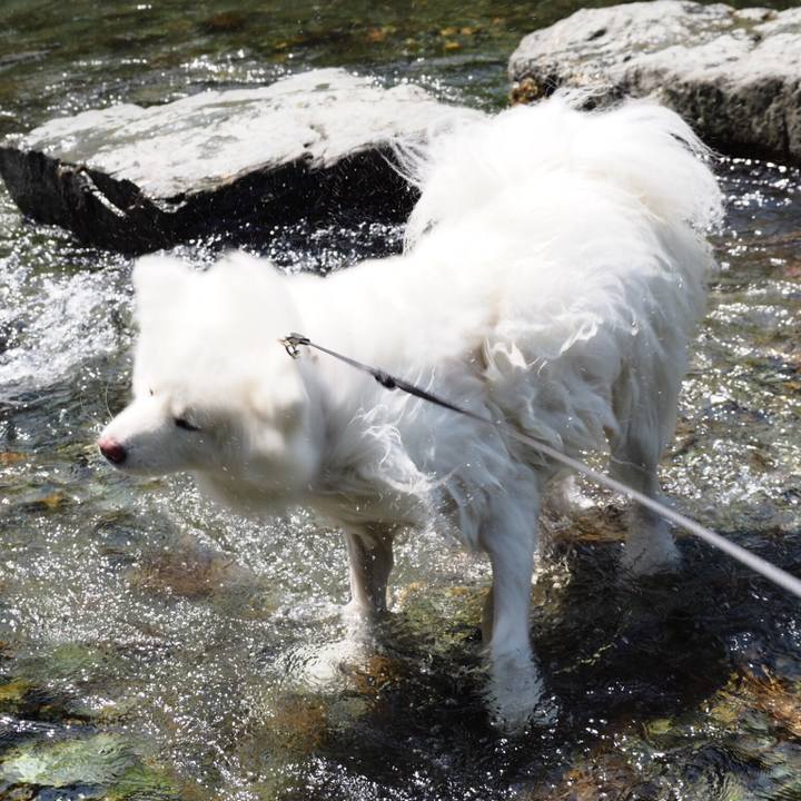 24cc78d6 c50b 485e 86cd bbe4b9020781