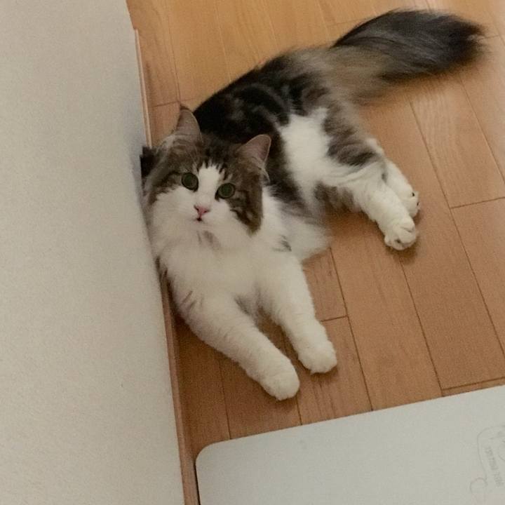 24cc9427 bfe0 4156 95d2 419aeec10857