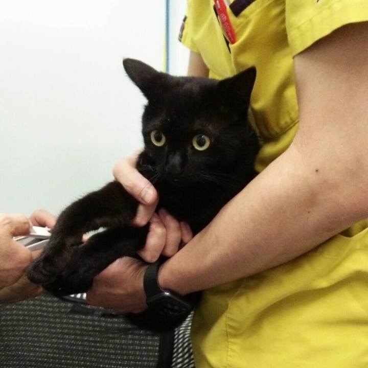 24cd2467 8588 4f6e b82b c49a1bd86398