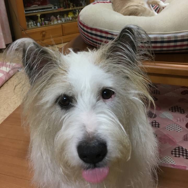 24cd3556 82b2 4ee9 bc30 c7e789311491