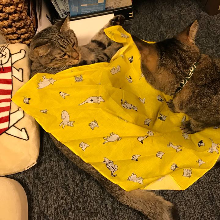 24cde34b 5802 4c5f 958f 9d419f276864