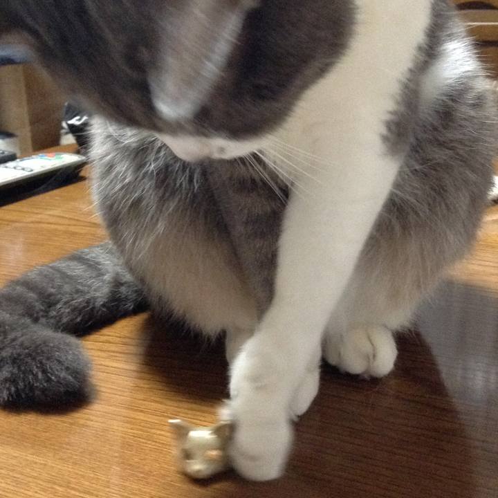 24cdee5c baf7 4453 89ae c6d1df76063b