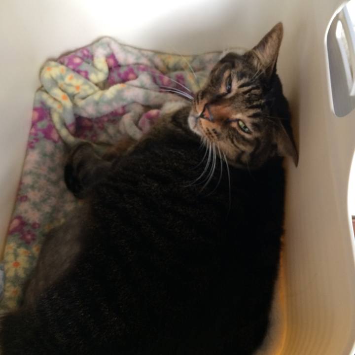 24cec462 f9d5 4a79 a7db a0000b668827