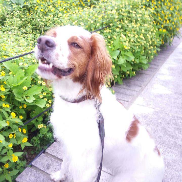 24ced687 5d1d 4177 b991 04d2424923a5