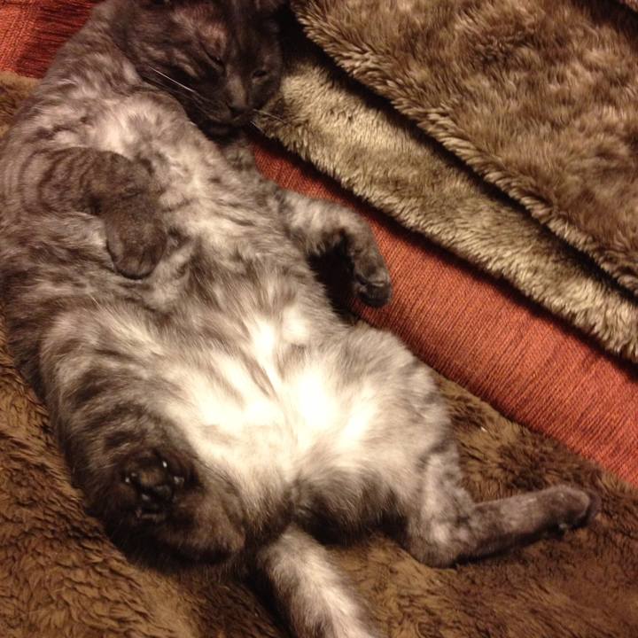 24cee8e5 9a9e 410c 9cbe 90b0325dafd8