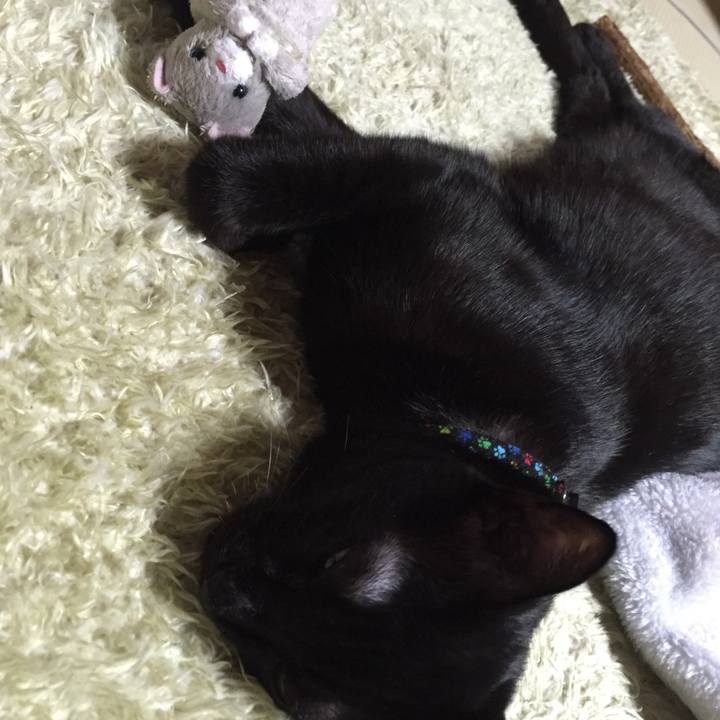 24cf2bba 8f01 4626 8cd6 cf9d45453879