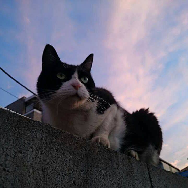 24cf641b 39a1 4111 908c 464c5f9489ea