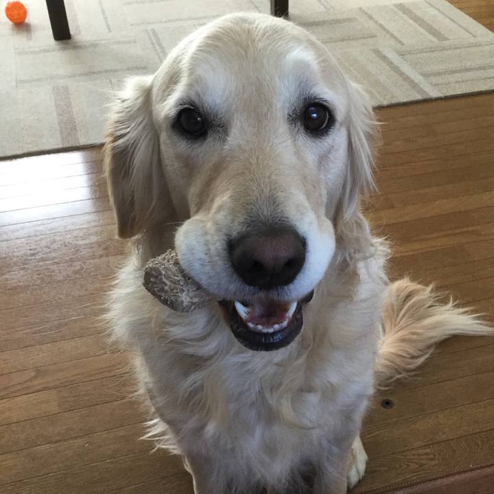 24cf7616 09ef 4712 844b e04cd7f200fb