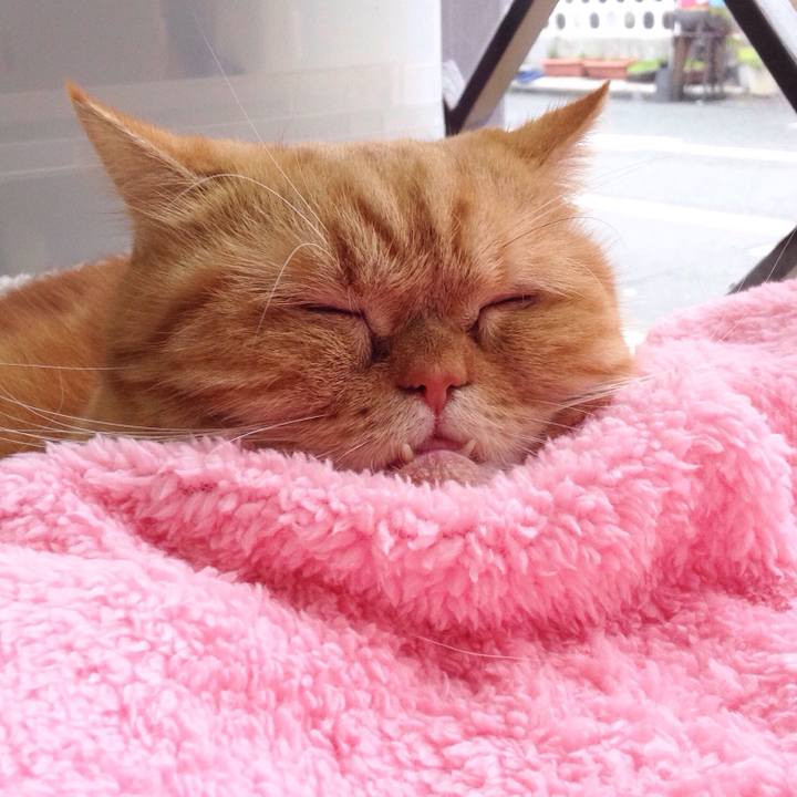 24cfa106 3e1d 4a6c ae19 4aa99976025a