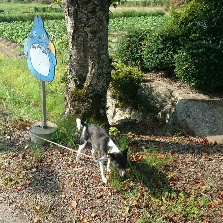 24cfaef0 34cb 4ade 81e5 e8a4306c22aa