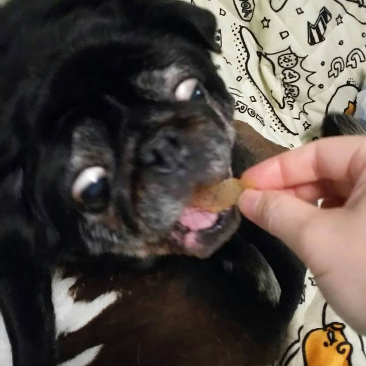 24d077bd 2ce9 4e62 bc4f 9a564c941a29